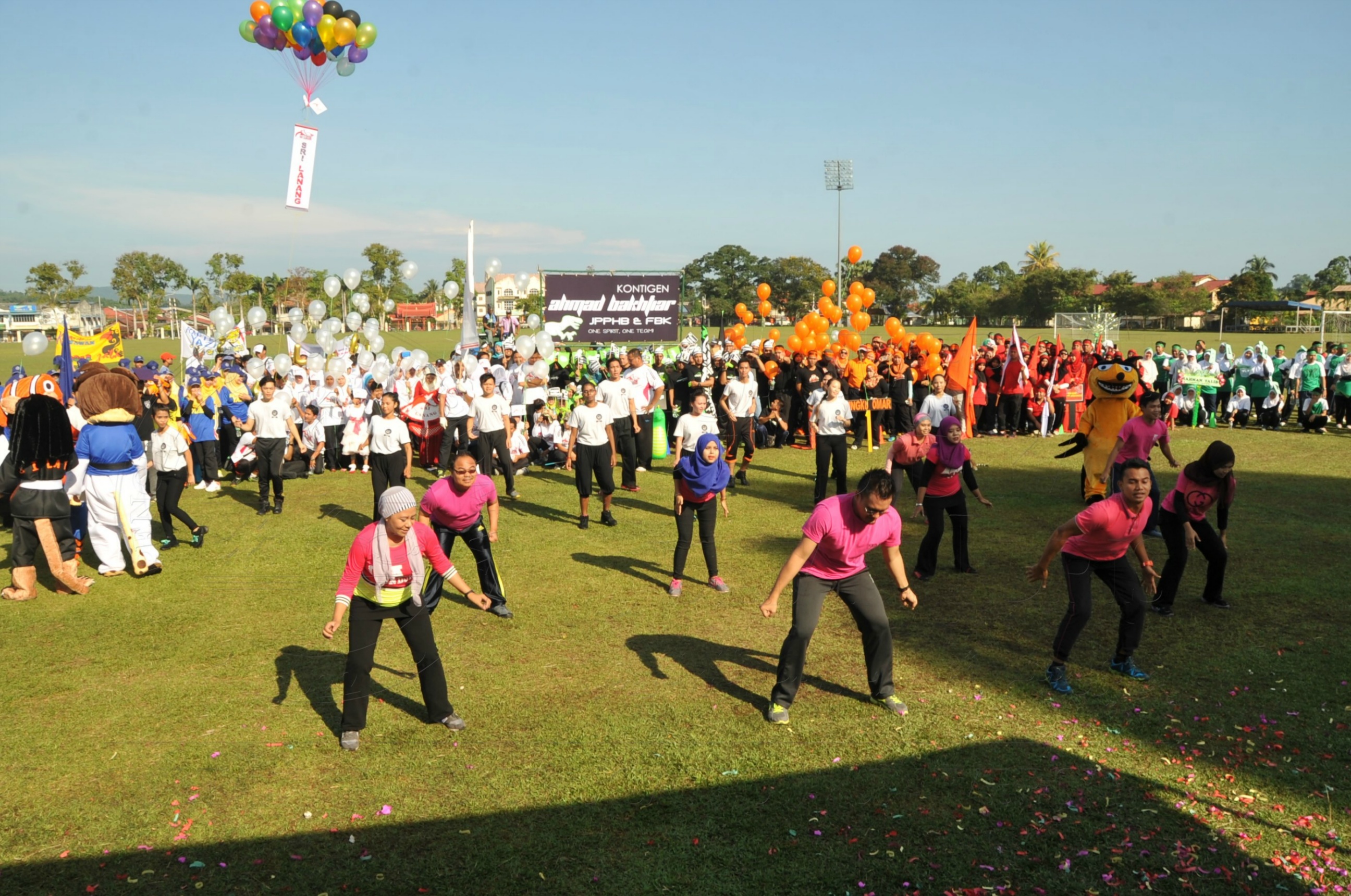 PRO 15 53 KIESTA HAS 3908